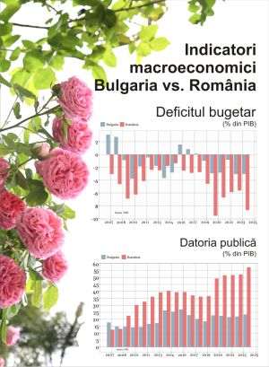 Părintele consiliului monetar din Bulgaria spune că trebuie evitată trecerea la euro